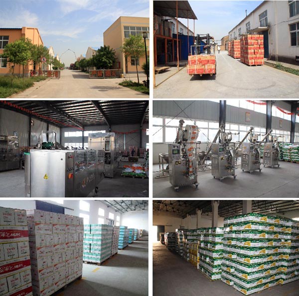 安阳beat365制剂公司